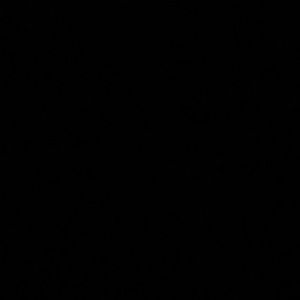 Meet your Posher, Bea